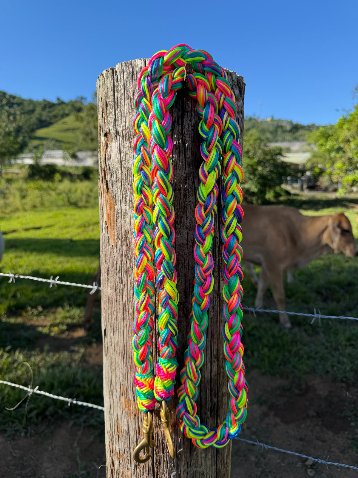 Bridas trenzadas Rainbow