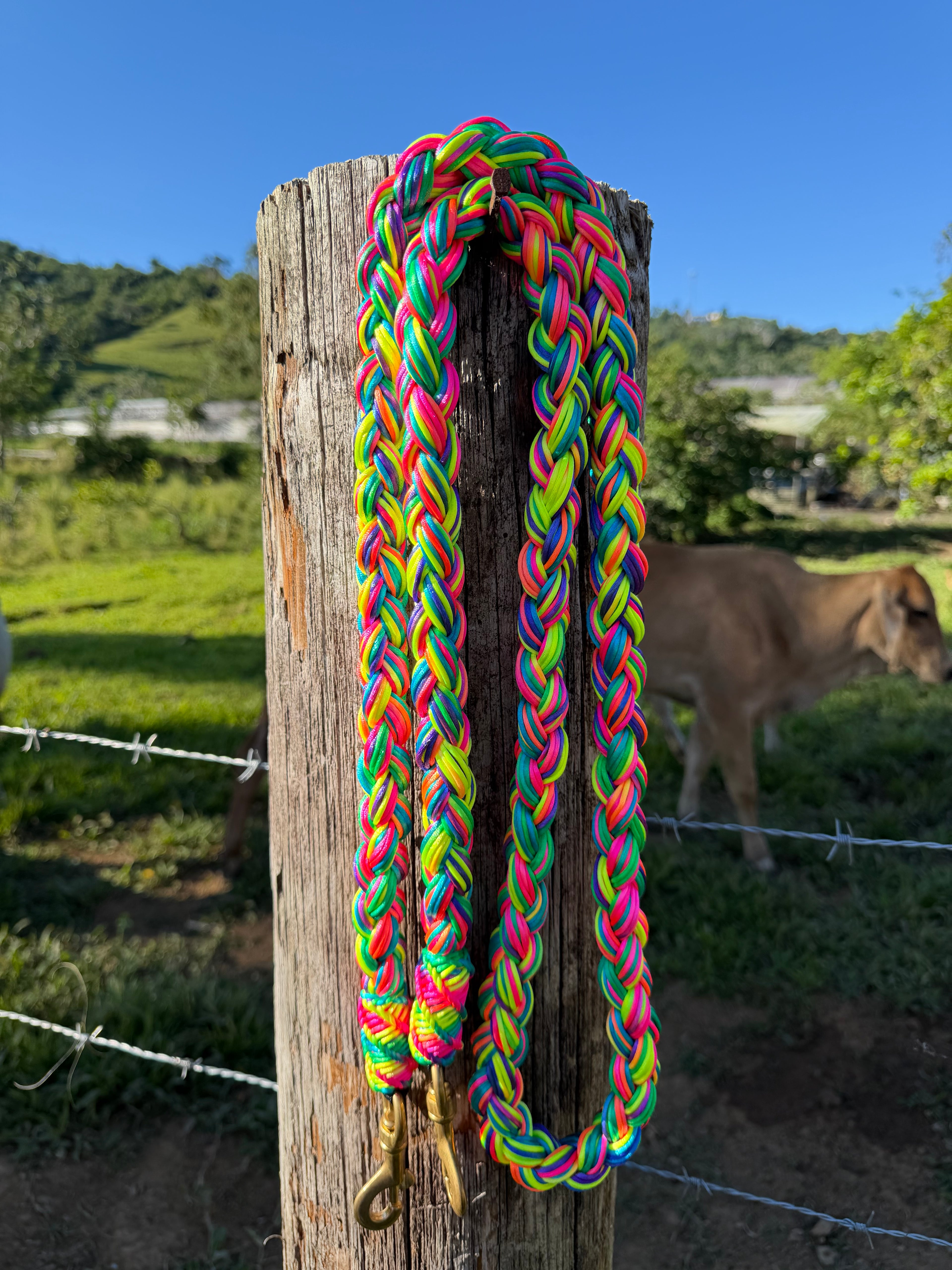 Bridas trenzadas Rainbow